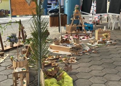 Rua Coberta recebeu feira de ado&ccedil;&atilde;o, distribui&ccedil;&atilde;o de mudas, ecoponto e a&ccedil;&otilde;es voltadas &agrave; sustentabilidade.