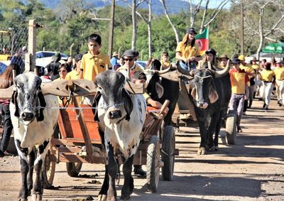 Chegando &agrave; sua 19&ordf; edi&ccedil;&atilde;o, o evento celebra as tradi&ccedil;&otilde;es do campo e valoriza a hist&oacute;ria dos agricultores que ajudaram a construir o munic&iacute;pio.