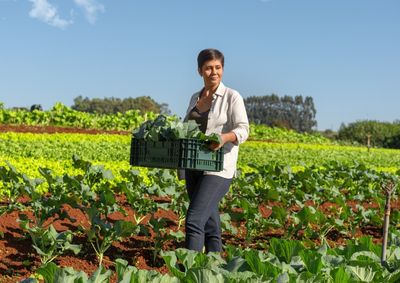 Produtores rurais podem procurar ag&ecirc;ncias da regi&atilde;o para obter cr&eacute;dito rural para diversas necessidades.