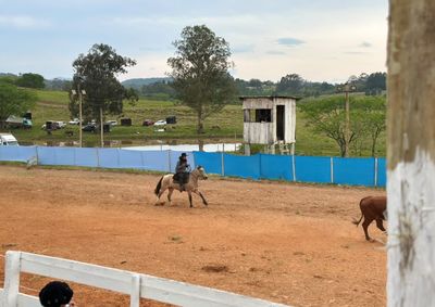 O evento reuniu tradicionalistas, competidores, fam&iacute;lias e a comunidade em um dia marcado pela valoriza&ccedil;&atilde;o da cultura ga&uacute;cha.