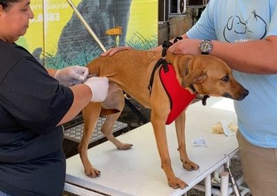A&ccedil;&atilde;o itinerante percorre o munic&iacute;pio a partir desta segunda-feira e conta com hor&aacute;rio estendido no Centro de Zoonoses.