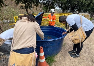 Levantamento ocorre entre 1 e 3 de setembro e orienta a&ccedil;&otilde;es de preven&ccedil;&atilde;o contra dengue, zika e chikungunya.