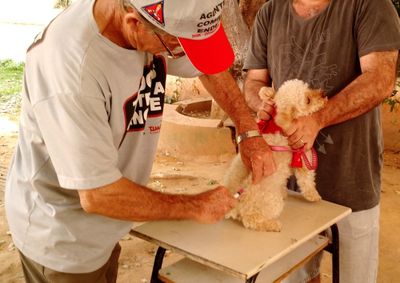 A&ccedil;&atilde;o de imuniza&ccedil;&atilde;o para c&atilde;es e gatos segue at&eacute; 25 de setembro com meta de vacinar mais de 8 mil animais na cidade.