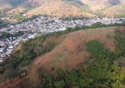 Iniciativa prev&ecirc; a recupera&ccedil;&atilde;o de 452 hectares, prote&ccedil;&atilde;o de 130 nascentes mapeadas e parceria com empresas privadas no munic&iacute;pio.