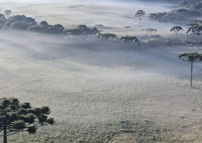 Defesa Civil alerta para frio intenso, temperaturas negativas, geada ampla e mar agitado nos pr&oacute;ximos dias.
