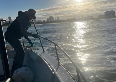 Fiscaliza&ccedil;&atilde;o foi realizada ap&oacute;s den&uacute;ncia sobre uma tartaruga marinha presa.