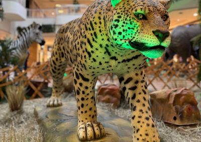 Exposi&ccedil;&atilde;o re&uacute;ne girafas, elefantes, le&otilde;es, zebras e outros animais com movimentos e sons.