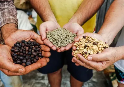 ​Premia&ccedil;&atilde;o ocorre no MON em 25/11. Estado &eacute; refer&ecirc;ncia em caf&eacute;s especiais, e vencedores ter&atilde;o &aacute;gio de 50% na compra dos lotes e pr&ecirc;mios de at&eacute; R$ 9 mil.
