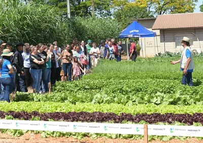 ​Evento reuniu 1.500 pessoas em Bandeirantes para debater agricultura sustent&aacute;vel, seguran&ccedil;a alimentar e lan&ccedil;ar projeto de biof&aacute;brica de R$ 1,5 mi.