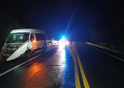 Ve&iacute;culo transportava pacientes de Curitiba quando atingiu os animais soltos na pista em Ventania; propriet&aacute;rios foram identificados.