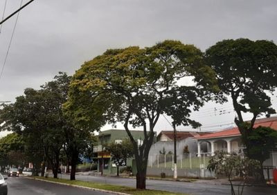 ​Pancadas inst&aacute;veis e ventos fortes antecedem a eleva&ccedil;&atilde;o gradual dos term&ocirc;metros durante as comemora&ccedil;&otilde;es familiares