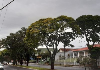 ​Chuva fraca e rajadas de vento abrem a sexta-feira, mas o tempo firme predomina no s&aacute;bado e domingo com m&aacute;ximas de at&eacute; 30&deg;C