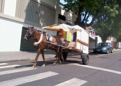 ​Imagem flagrou tr&aacute;fego tranquilo de charrete em meio ao fluxo de ve&iacute;culos no centro da cidade
