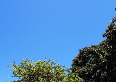 ​Tempo segue firme, sem probabilidade de chuva e com eleva&ccedil;&atilde;o gradativa no calor