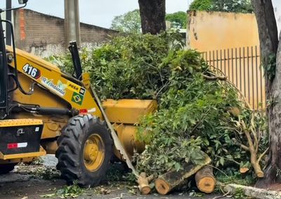 ​Rajadas de vento causaram quedas de &aacute;rvores e destelhamentos em diversos munic&iacute;pios da regi&atilde;o