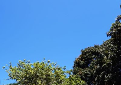 ​Sol predomina nesta segunda e ter&ccedil;a com zero probabilidade de chuva na cidade