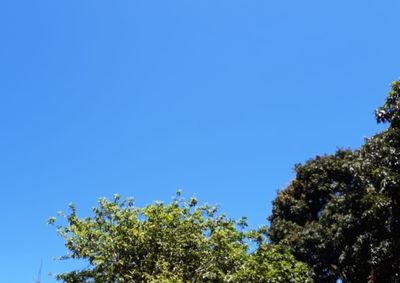 ​Temperaturas ficam amenas com m&aacute;ximas de at&eacute; 25&deg;C e rajadas de vento perto dos 50 km/h na segunda e ter&ccedil;a-feira