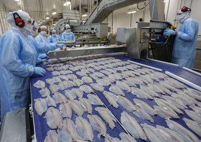  Segundo a pesquisa do Departamento de Economia Rural, o principal produto da piscicultura paranaense teve uma redu&ccedil;&atilde;o de 5% no pre&ccedil;o no varejo.