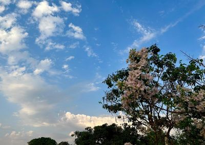 Simepar prev&ecirc; estabilidade no Noroeste, com m&aacute;ximas de at&eacute; 25&deg;C entre s&aacute;bado e domingo.