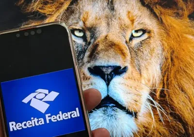 Quem n&atilde;o acertar as contas com o Le&atilde;o no prazo pagar&aacute; multa m&iacute;nima de R$ 165,74.