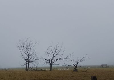 Massa de ar frio e seco mant&eacute;m o tempo est&aacute;vel, com grande amplitude t&eacute;rmica.