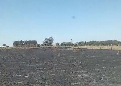 Uma &aacute;rea de cerca de 60 mil m&sup2; de vegeta&ccedil;&atilde;o foi queimada na Rua Alcides Niero.