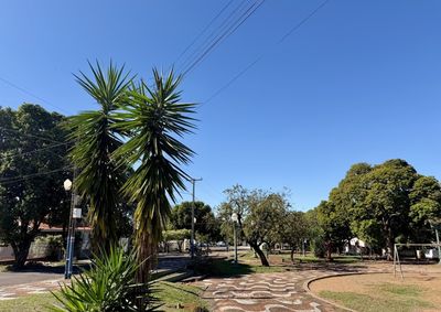 O Simepar prev&ecirc; que a m&aacute;xima ultrapasse os 30&deg;C neste s&aacute;bado (18) e domingo (19). As rajadas podem chegar a 76km/h.