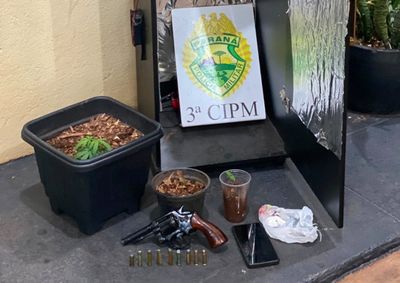 Coca&iacute;na e uma estufa com tr&ecirc;s p&eacute;s de maconha tamb&eacute;m foram apreendidos.