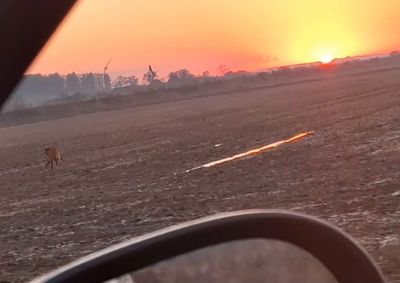 Momento no p&ocirc;r do sol foi registrado pelo lavrador Renato Pinheiro. "Que coisa linda", disse. Esp&eacute;cie &eacute; amea&ccedil;ada de extin&ccedil;&atilde;o.