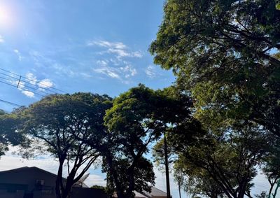 O tempo deve continuar abafado e as temperaturas altas nos pr&oacute;ximos dias.