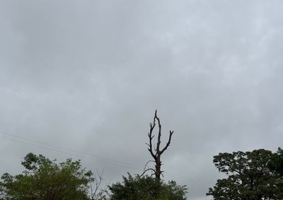 Ap&oacute;s dias de calor intenso, temperaturas devem cair nos pr&oacute;ximos dias, segundo o Simepar.