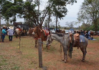 O tradicional evento oferece almo&ccedil;o gratuito aos participantes.