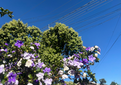 Frio perde for&ccedil;a e calor prevalece nos &uacute;ltimos dias de agosto. 