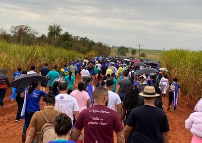 Peregrinos v&atilde;o percorrer 12 quil&ocirc;metros em uma caminhada de f&eacute; e devo&ccedil;&atilde;o &agrave; padroeira do Brasil.