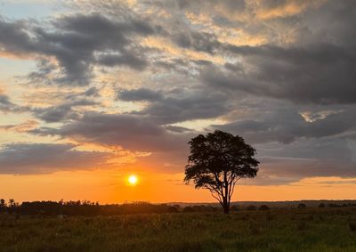 Previs&atilde;o &eacute; de temperaturas acima da m&eacute;dia nos pr&oacute;ximos dias. 
