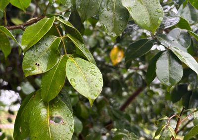 O inverno chegou ao fim nesta ter&ccedil;a-feira (22) e foi marcado por temperaturas acima da m&eacute;dia, com altern&acirc;ncia entre dias de frio e calor.