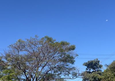 Segundo o Simepar, as temperaturas sobem gradualmente nos pr&oacute;ximos dias, com varia&ccedil;&atilde;o de at&eacute; 16&deg;C.