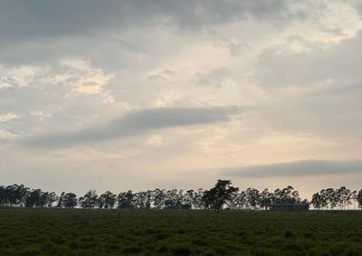 Semana come&ccedil;a com tempo fechado, mas instabilidade d&aacute; tr&eacute;gua nos pr&oacute;ximos dias.
