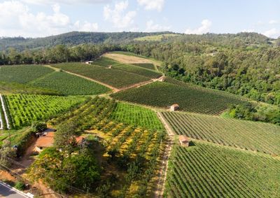A a&ccedil;&atilde;o tem sido realizada por meio da Secretaria de Desenvolvimento Econ&ocirc;mico, envolvendo as divis&otilde;es de Agricultura, Turismo e o Comtur