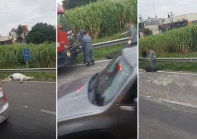 Colis&atilde;o entre carreta, utilit&aacute;rio e moto ocorreu na divisa entre Louveira e Vinhedo; motorista da carreta fugiu do local

