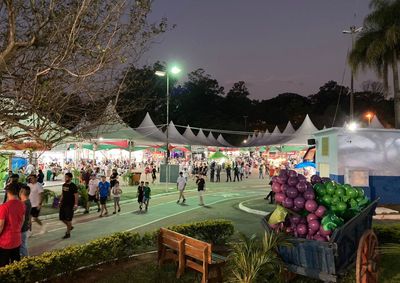 Evento ter&aacute; entrada gratuita, atra&ccedil;&otilde;es culturais, gastronomia t&iacute;pica, tradi&ccedil;&atilde;o italiana e apresenta&ccedil;&otilde;es nacionais para toda a fam&iacute;lia