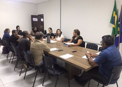 Primeira reuni&atilde;o ordin&aacute;ria tratou sobre oitivas com a sociedade na constru&ccedil;&atilde;o das pol&iacute;ticas culturais e propostas para atualiza&ccedil;&atilde;o de leis