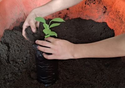 Parceria entre as Secretarias de Educa&ccedil;&atilde;o e de Agricultura e Meio Ambiente oferece experi&ecirc;ncia pr&aacute;tica e envolvente de Educa&ccedil;&atilde;o Ambiental
