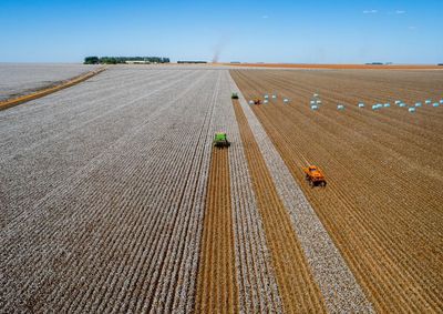 Com apoio de programas de incentivo e expans&atilde;o da produ&ccedil;&atilde;o, Estado segue no topo do agroneg&oacute;cio brasileiro
