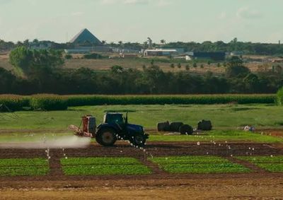 Os estudos foram realizados na safra 2025/2026 e avaliaram diferentes herbicidas
