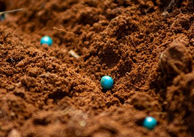 Aprosoja MT refor&ccedil;a o planejamento do plantio, desde o armazenamento das sementes at&eacute; a regulagem dos equipamentos e as condi&ccedil;&otilde;es do solo