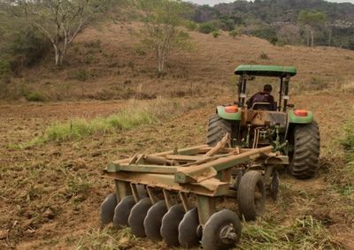 A ara&ccedil;&atilde;o das terras aumenta os n&iacute;veis de oxigena&ccedil;&atilde;o da mat&eacute;ria org&acirc;nica e traz diversos benef&iacute;cios para o cultivo