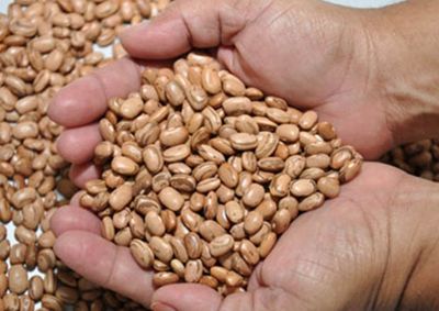 O Agricultor interessado deve realizar cadastro at&eacute; o dia 31 de janeiro