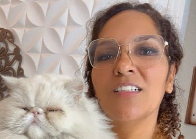 Felino da moradora do S&atilde;o Jos&eacute; foi resgatado por dois rapazes e j&aacute; est&aacute; em casa; fam&iacute;lia agradece ajuda e compartilhamentos