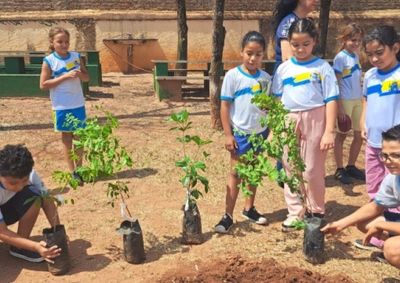 Unidade municipal alia &aacute;rea verde, reaproveitamento de materiais e projetos ambientais para formar crian&ccedil;as mais conscientes